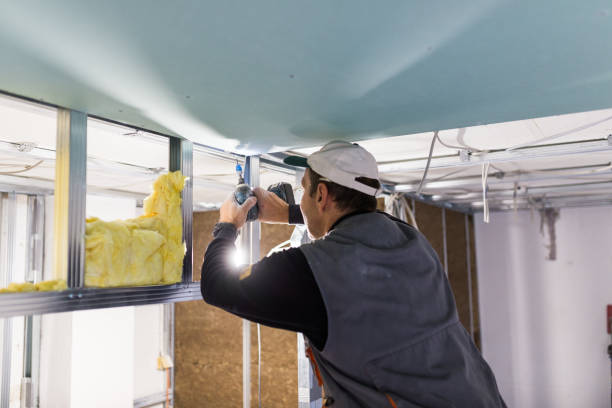 Best Commercial Insulation in Heber Overgaard, AZ
