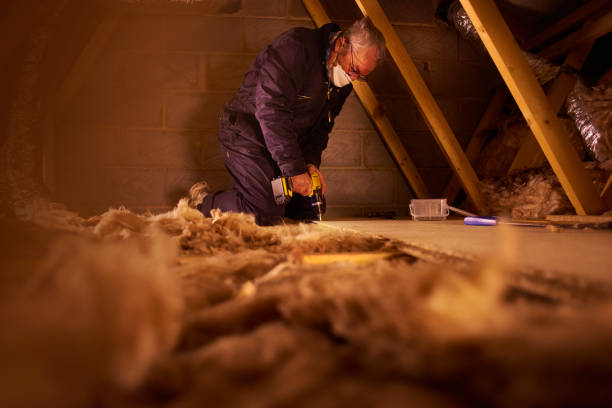 Best Specialty Insulation in Heber Overgaard, AZ